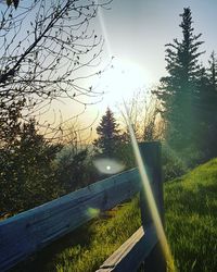 Trees on field against sky during sunset