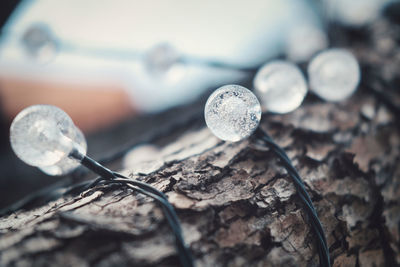 Close-up of water drops on wood