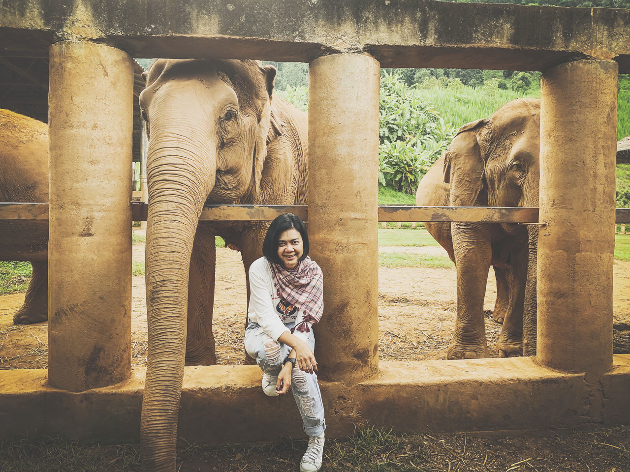 elephant, mammal, animal themes, animal, indian elephant, one person, one animal, full length, zoo, adult, nature, animal wildlife, day, architecture, emotion, temple, animal body part, lifestyles, outdoors, standing, women, child, front view, domestic animals, young adult, female, casual clothing, happiness, smiling, sunlight, portrait, leisure activity, person, childhood