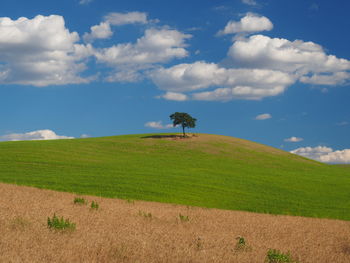 Scenic view of land against sky. 