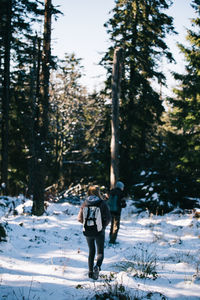 Rear view of woman walking in forest during winter
