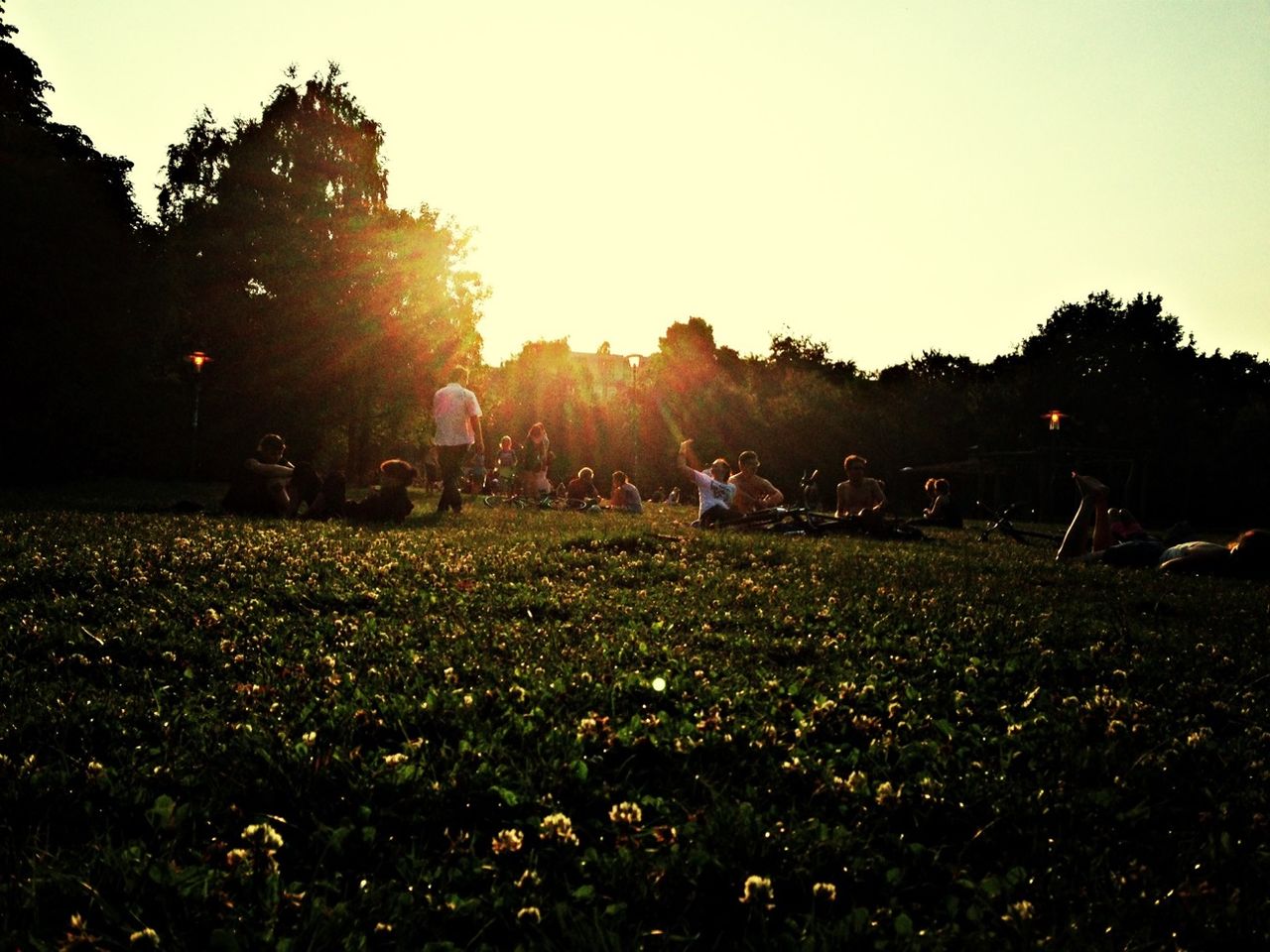 sun, tree, clear sky, sunset, field, sunlight, grass, sunbeam, lens flare, leisure activity, landscape, lifestyles, men, nature, copy space, sky, tranquil scene, outdoors, person