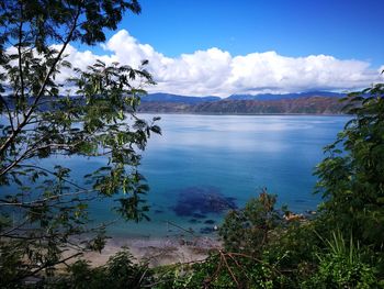 Scenic view of lake against blue sky