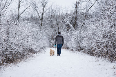 Man walking a dog on snowy trail through the woods on a winter day.
