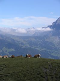 Scenic view of field and mountains against sky