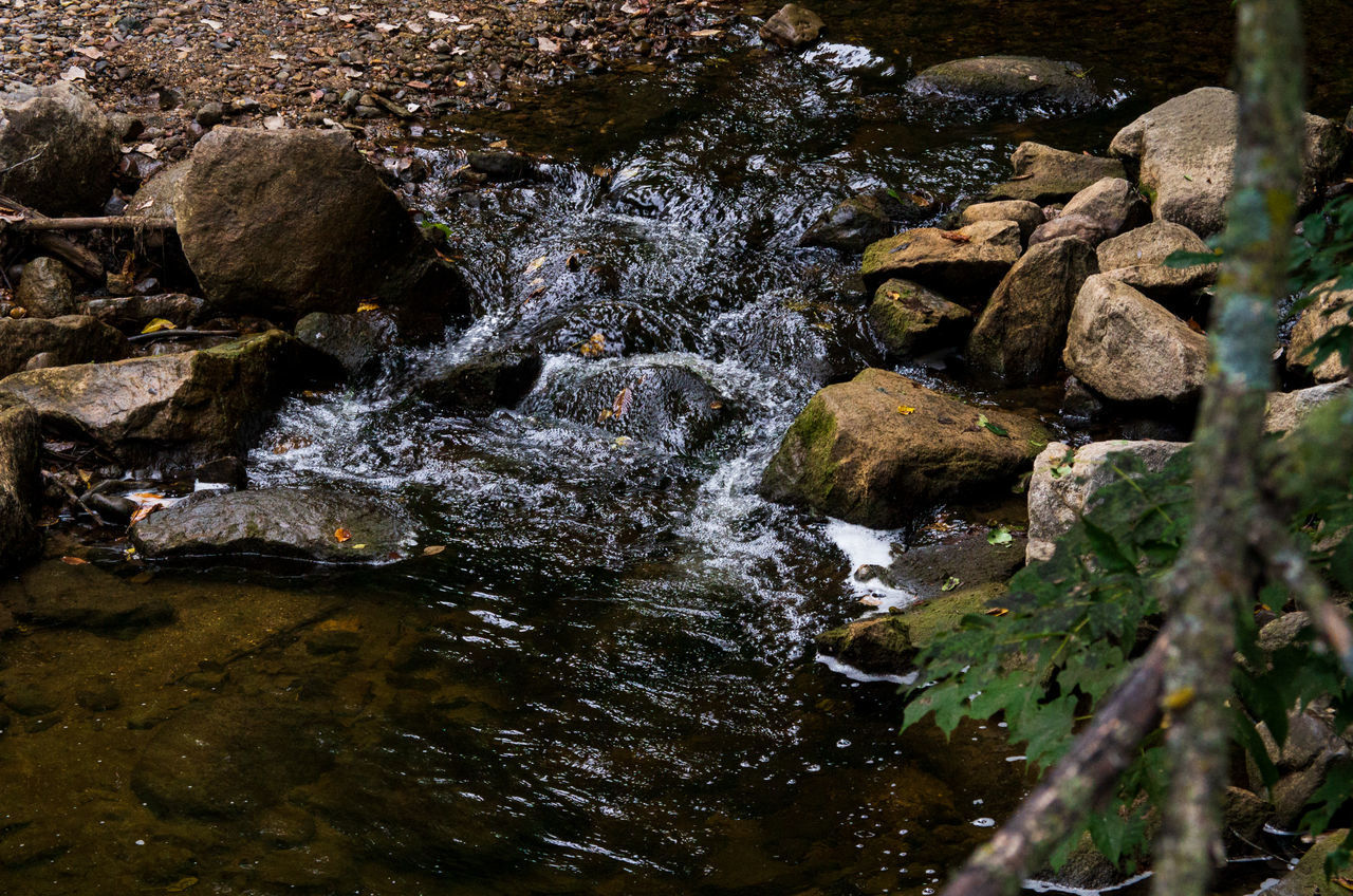 STREAM AMIDST ROCKS IN FOREST