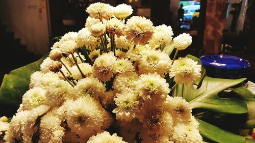 Close-up of yellow flowers