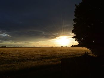 Scenic view of field against sky during sunset