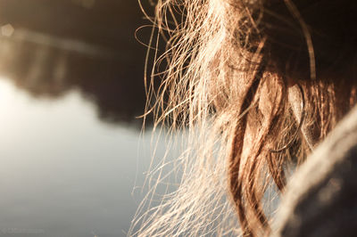 Close-up of woman against blurred lake