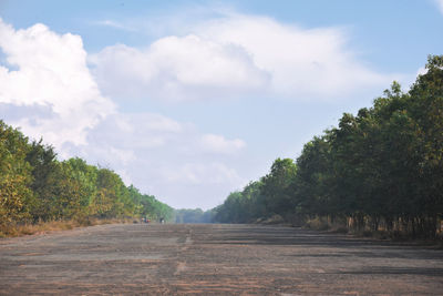 Road amidst trees against sky