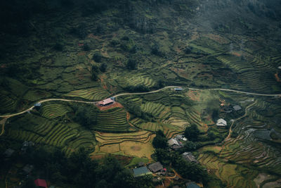 Scenic view of agricultural field