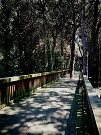 Walkway along trees at night