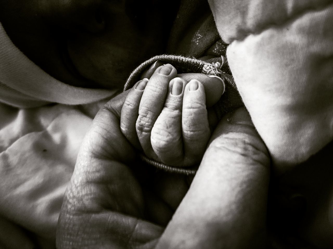hand, human hand, human body part, close-up, family, love, real people, two people, togetherness, positive emotion, bonding, baby, people, body part, young, babyhood, child, care, holding, adult, finger