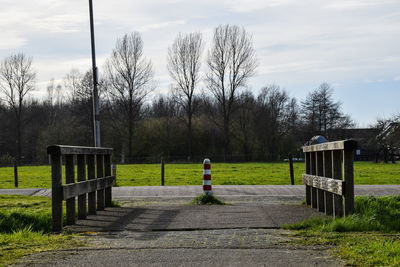 Footpath amidst trees on field against sky