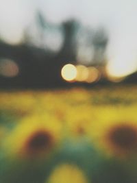 Defocused image of yellow lights