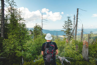 Rear view of man standing in forest