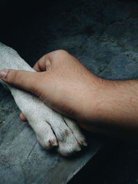 Close-up of man hand with dog