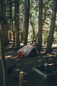 Tent in forest