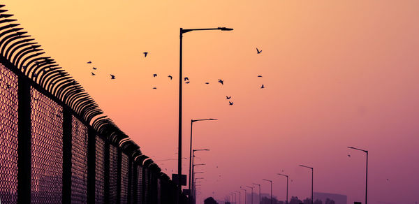 Low angle view of silhouette birds flying against sky during sunset