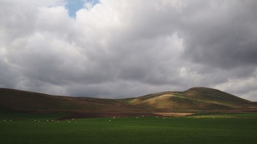 Scenic view of green landscape against sky