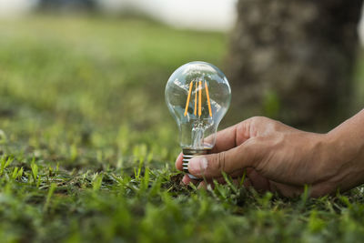 Cropped hand of person holding light bulb