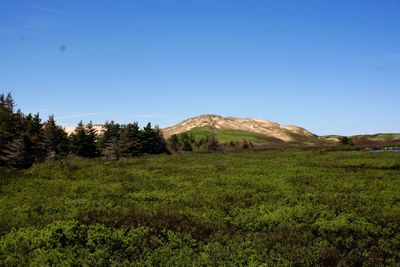 Scenic view of landscape against clear sky