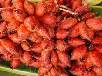 Close-up of salaks for sale at market