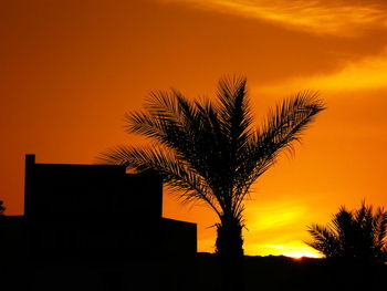 Low angle view of silhouette building and palm tree against orange sky