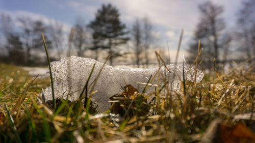 Close-up of snow on field against sky