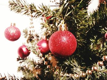 Close-up of christmas tree