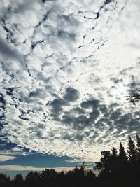 Low angle view of silhouette trees against sky