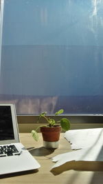 Close-up of potted plant on table