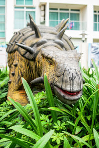 Close-up of animal sculpture on grass