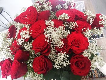 High angle view of red roses