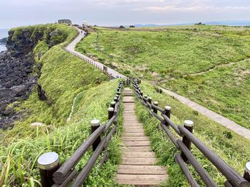 Trekking path flanked by green grass along the edge of island, it is located in jeju, south korea.