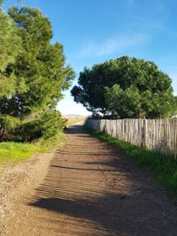 Empty road along trees and plants against sky