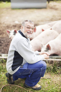 Senior farmer looking at camera, pigs in background