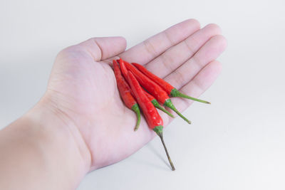 Close-up of hand holding red chili peppers over white background