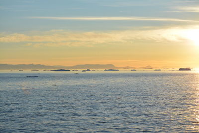 Great midnight sun boat trip in the arctic sea with big icebergs - greenland, disko bay, ilulissat i