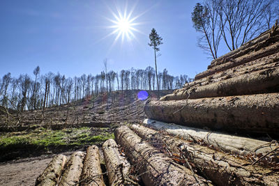 Panoramic shot of rocks against bright sun