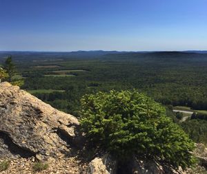 Scenic view of landscape against clear sky