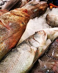 Close-up of fish for sale in market