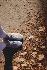 Low section of person standing on dry leaves