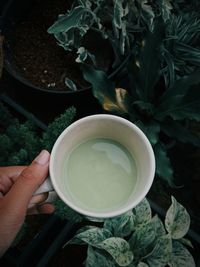 Midsection of person holding tea cup