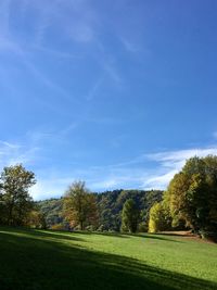 Trees on field against blue sky