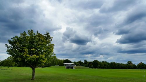 Trees on grassy field against cloudy sky
