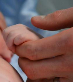 Close-up of father holding baby hand