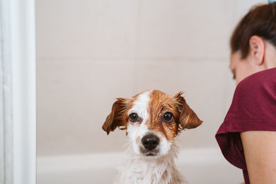 Woman washing dog in bathroom at home