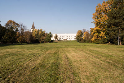 Trees growing in lawn against clear sky