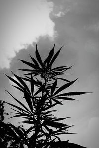 Low angle view of cloudy sky